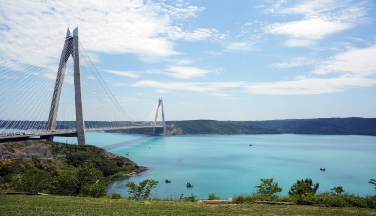 Turkuaza dönen İstanbul boğazında yunuslar akın etti
