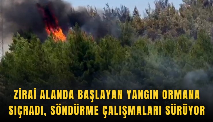 Zirai alanda başlayan yangın ormana sıçradı, söndürme çalışmaları sürüyor