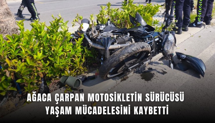 Ağaca çarpan motosikletin sürücüsü yaşam mücadelesini kaybetti