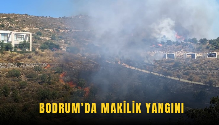 Bodrum’da makilik yangını