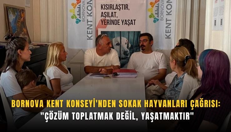 Bornova Kent Konseyi'nden sokak hayvanları çağrısı: 