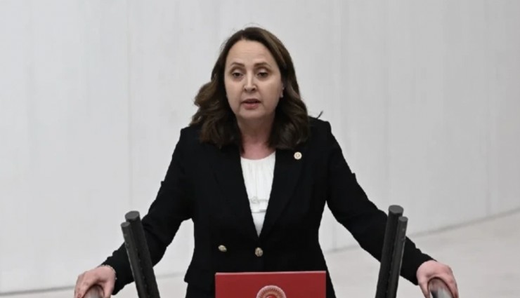 CHP’nin Avrupa’daki örgütlerine yönelik yetki iptali öne sürüldü