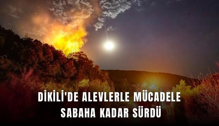 Dikili'de alevlerle mücadele sabaha kadar sürdü