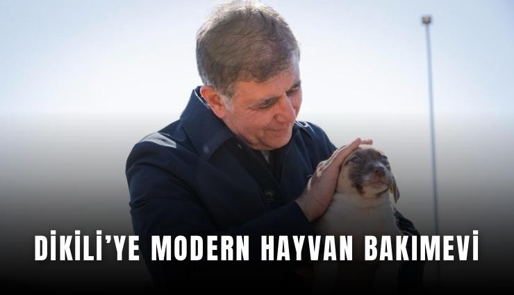 Dikili’ye modern hayvan bakımevi