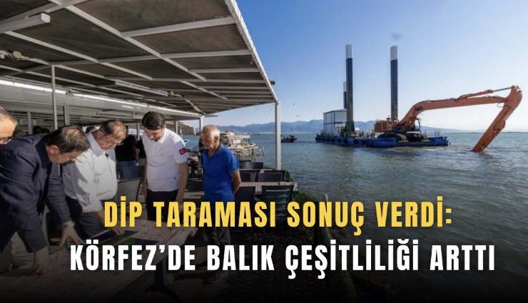Dip taraması sonuç verdi: Körfez’de balık çeşitliliği arttı