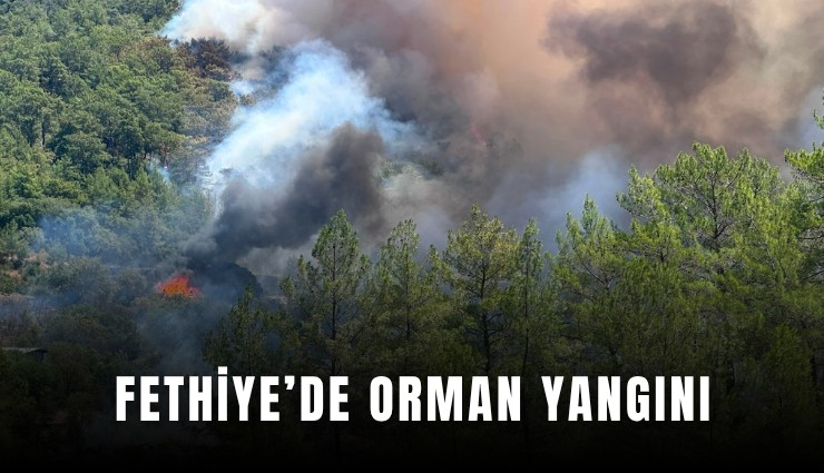 Fethiye’de orman yangını