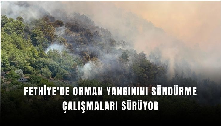Fethiye'de orman yangını sürüyor