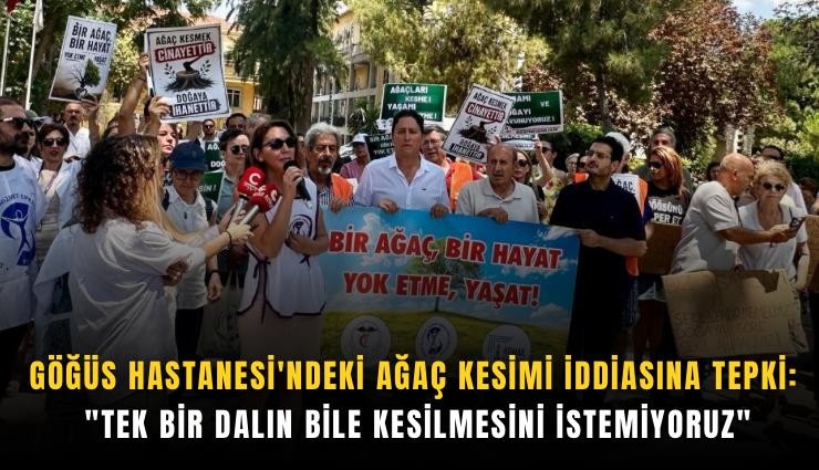 Göğüs Hastanesi'ndeki ağaç kesimi iddiasına tepki: 