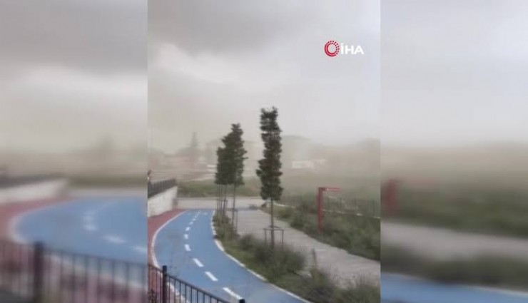 İstanbul'da fırtına etkili oldu, ağaçlar devrildi