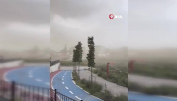İstanbul’da fırtına etkili oldu, ağaçlar devrildi