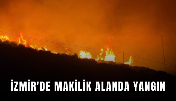 İzmir'de makilik alanda yangın