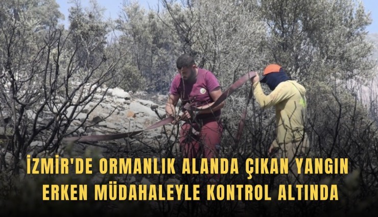 İzmir'de ormanlık alanda çıkan yangın erken müdahaleyle kontrol altında