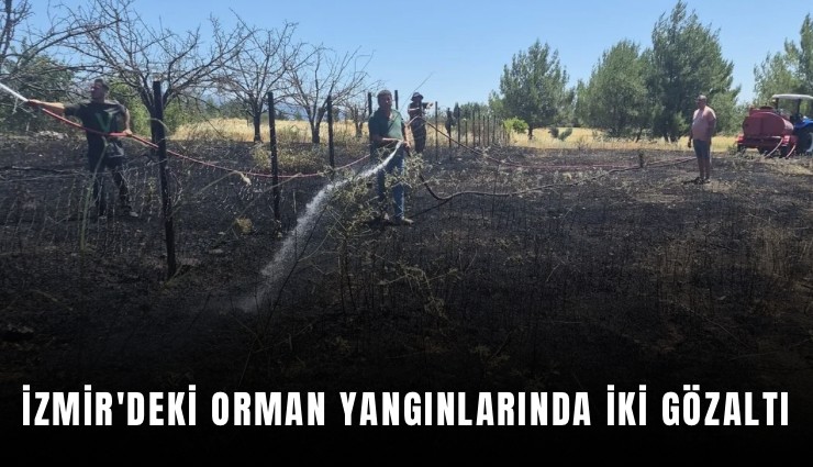 İzmir'deki orman yangınlarında iki gözaltı