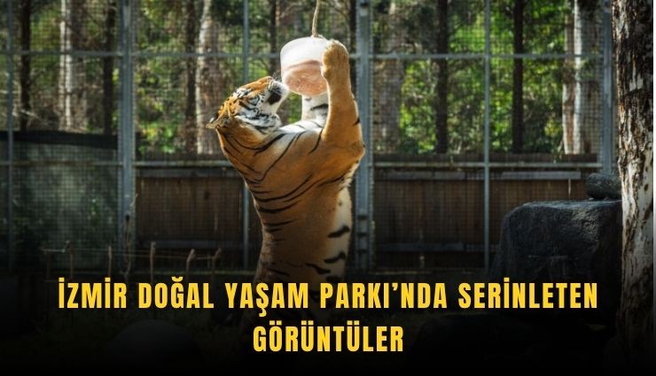 İzmir Doğal Yaşam Parkı’nda serinleten görüntüler