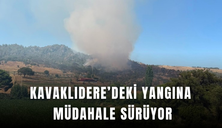 Kavaklıdere’deki yangına müdahale sürüyor