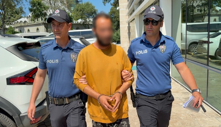 Kediye tekme atan şahıs tutuklandı: 