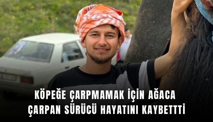 Köpeğe çarpmamak için ağaca çarpan sürücü hayatını kaybettti