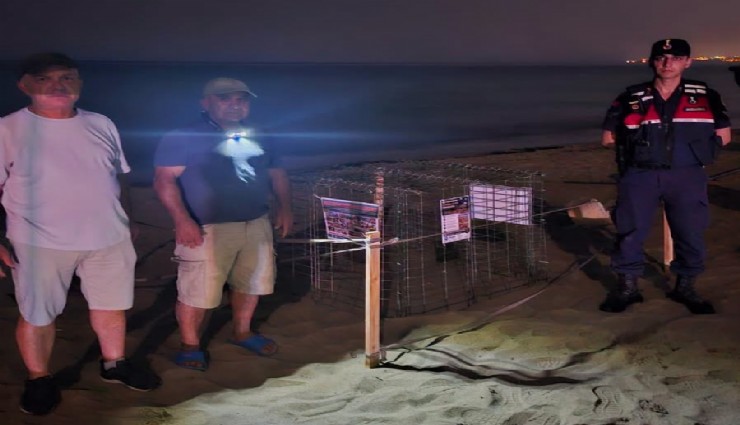 Kuşadası'nda caretta caretta yuvası koruma altına alındı