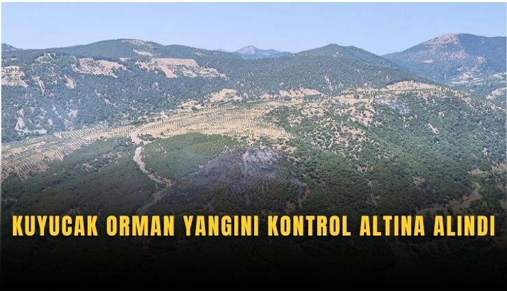 Kuyucak orman yangını kontrol altında
