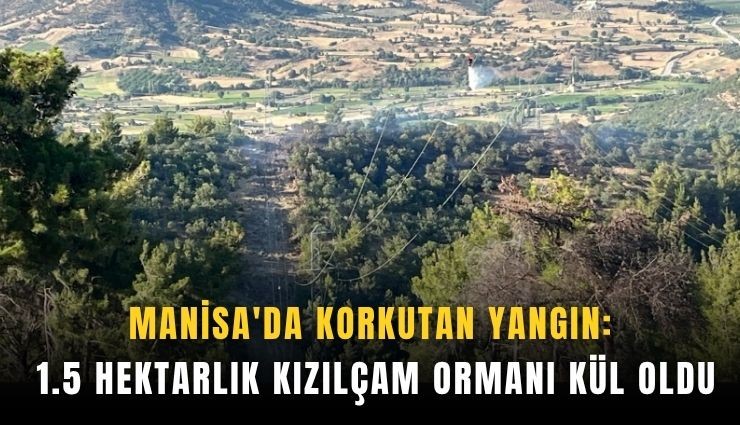 Manisa'da korkutan yangın: 1.5 hektarlık kızılçam ormanı kül oldu