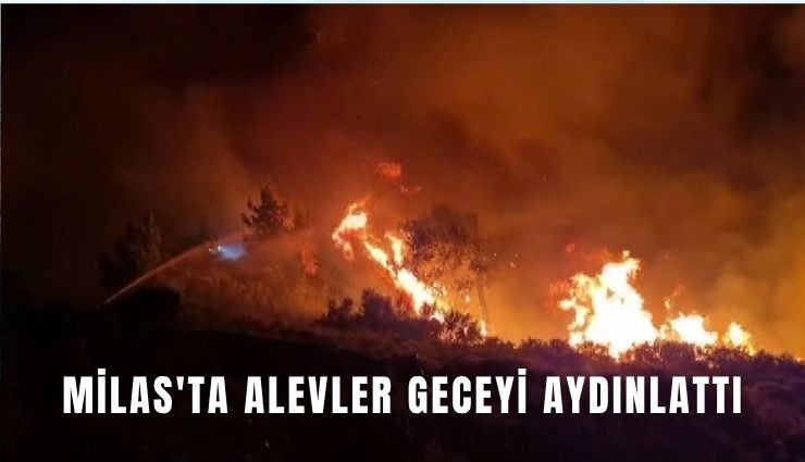 Milas'ta alevler geceyi aydınlattı