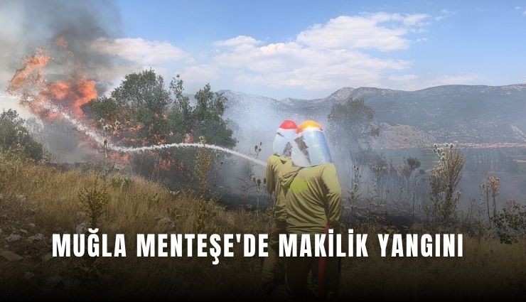 Muğla Menteşe'de makilik yangını