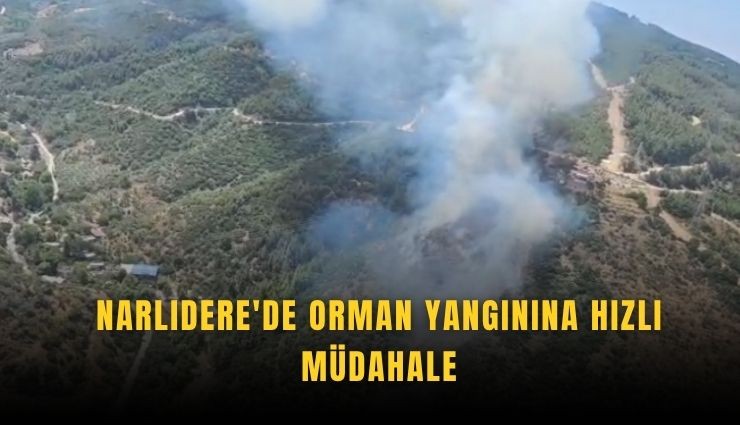 Narlıdere'de orman yangınına hızlı müdahale