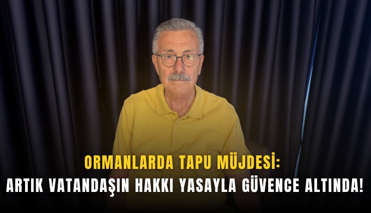 Ormanlarda tapu müjdesi: Artık vatandaşın hakkı yasayla güvence altında!