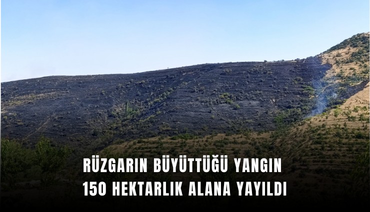 Rüzgarın büyüttüğü yangın 150 hektarlık alana yayıldı