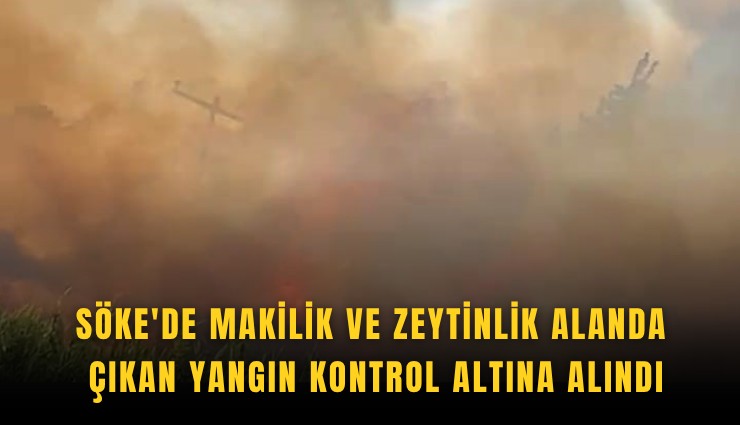 Söke'de makilik ve zeytinlik alanda çıkan yangın kontrol altına alındı