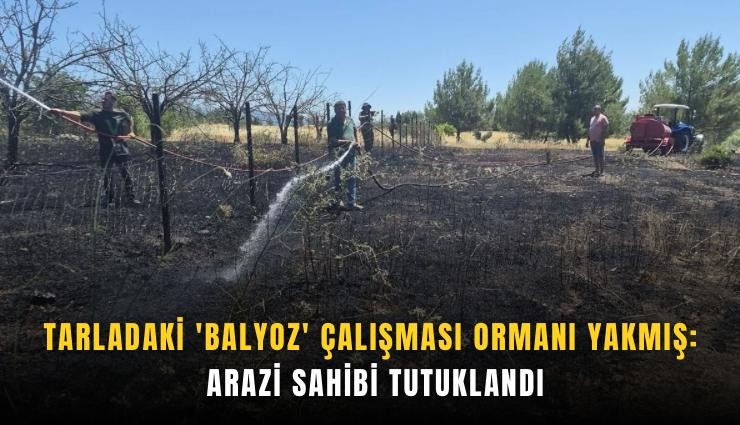 Tarladaki 'balyoz' çalışması ormanı yakmış: Arazi sahibi tutuklandı